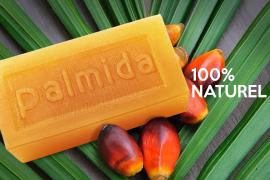Palmida